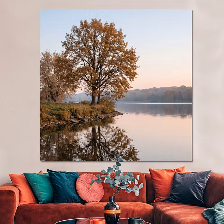 Forex - Bomen - Reflectie - Water - Zonsopgang - Serene — 3