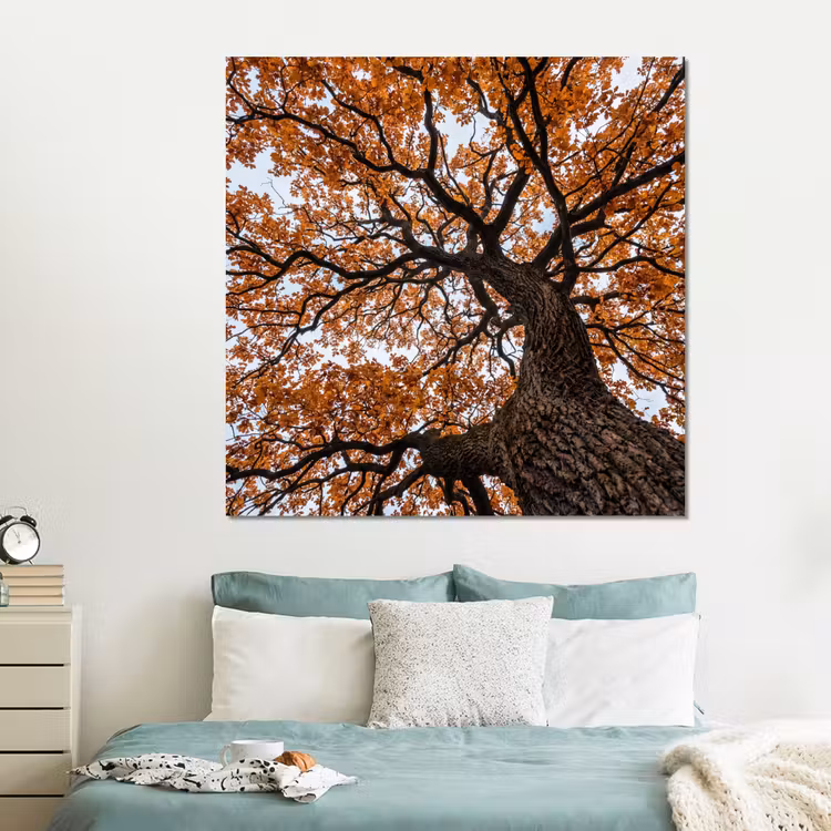 Forex - Boom - Bladerdak - Herfst - Oranje - Sfeervol — 2