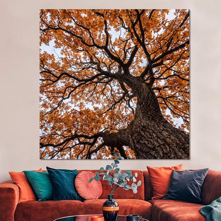 Forex - Boom - Bladerdak - Herfst - Oranje - Sfeervol — 3