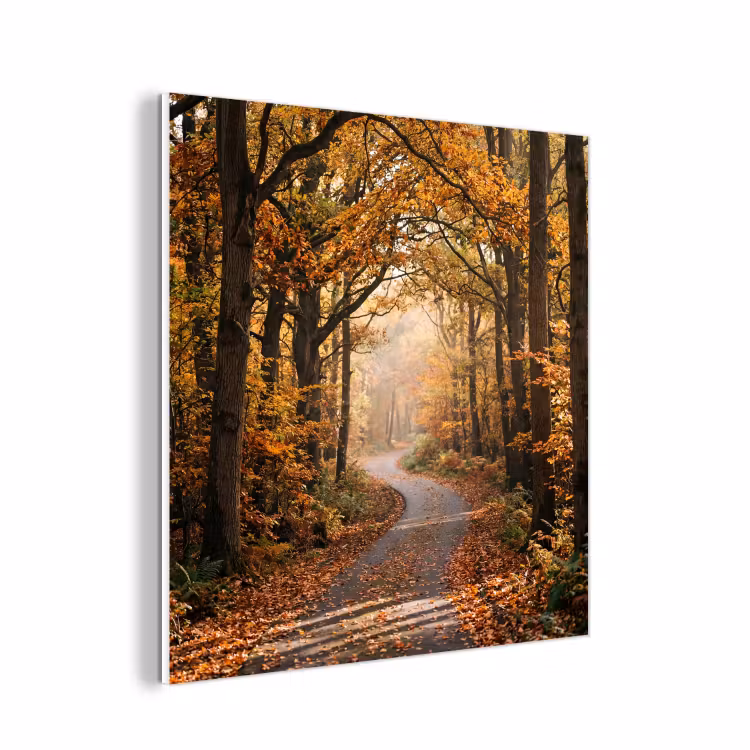 Forex - Bospad - Herfstbos - Bladeren - Oranje - Nostalgisch — 1
