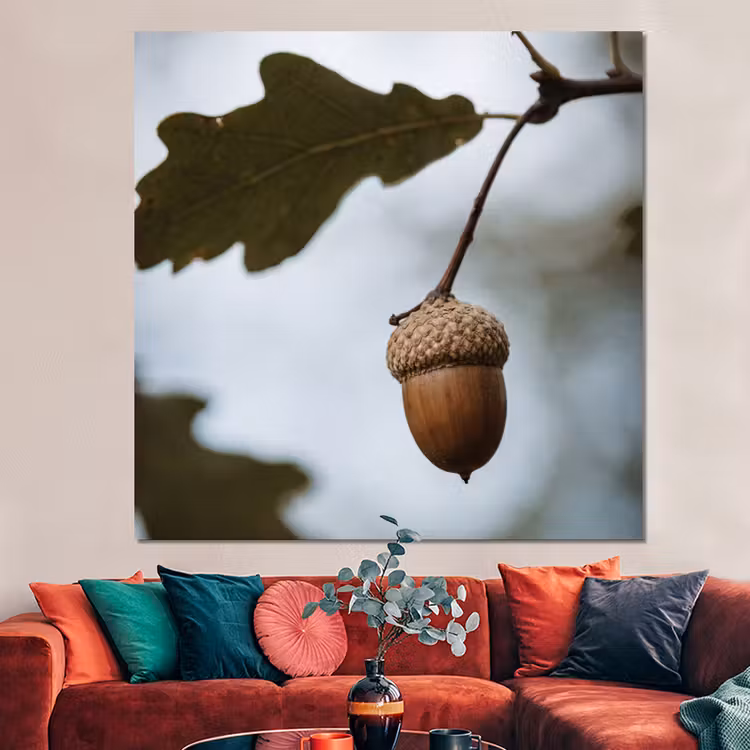 Forex - Eikel - Eikenblad - Bos - Herfst - Natuur — 3