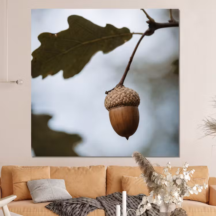 Forex - Eikel - Eikenblad - Bos - Herfst - Natuur — 4