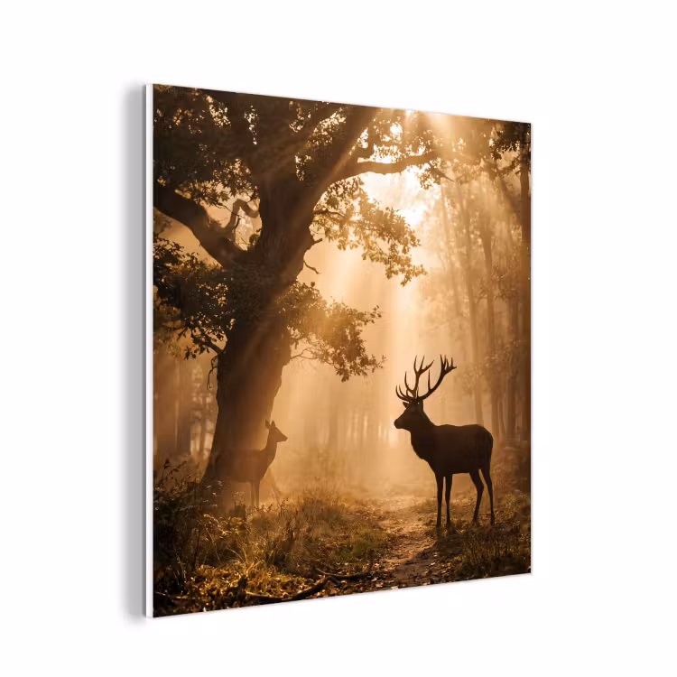 Forex - Hert - Bos - Mistig - Natuur - Goud — 1