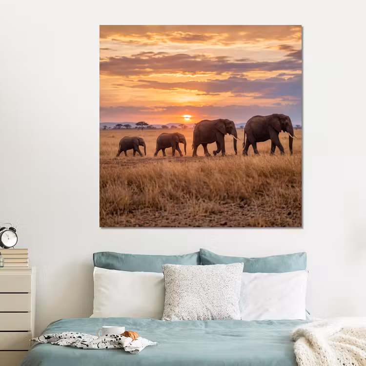 Forex - Olifanten - Savanne - Zonsondergang - Afrika - Warm — 2