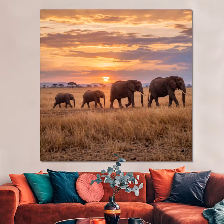 Forex - Olifanten - Savanne - Zonsondergang - Afrika - Warm — 3