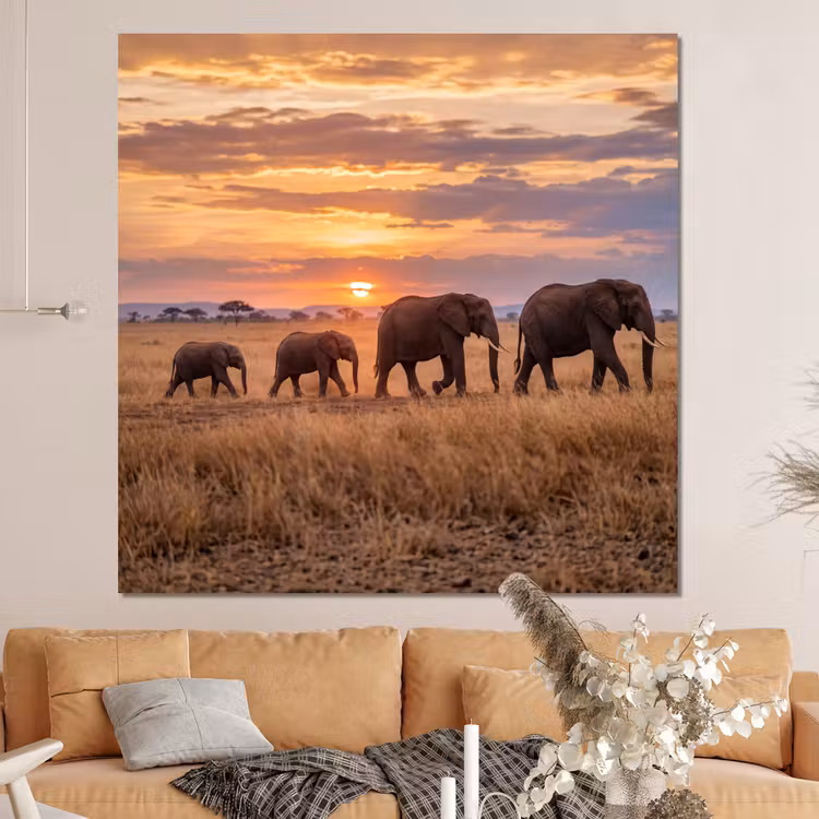 Forex - Olifanten - Savanne - Zonsondergang - Afrika - Warm — 4