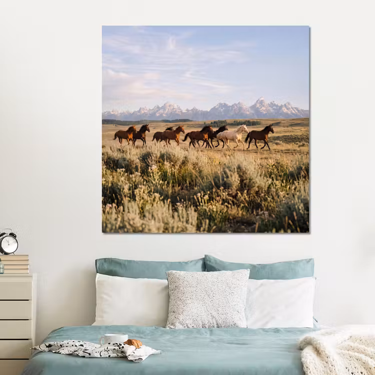 Forex - Paarden - Kudde - Bergen - Vrijheid - Wild — 2