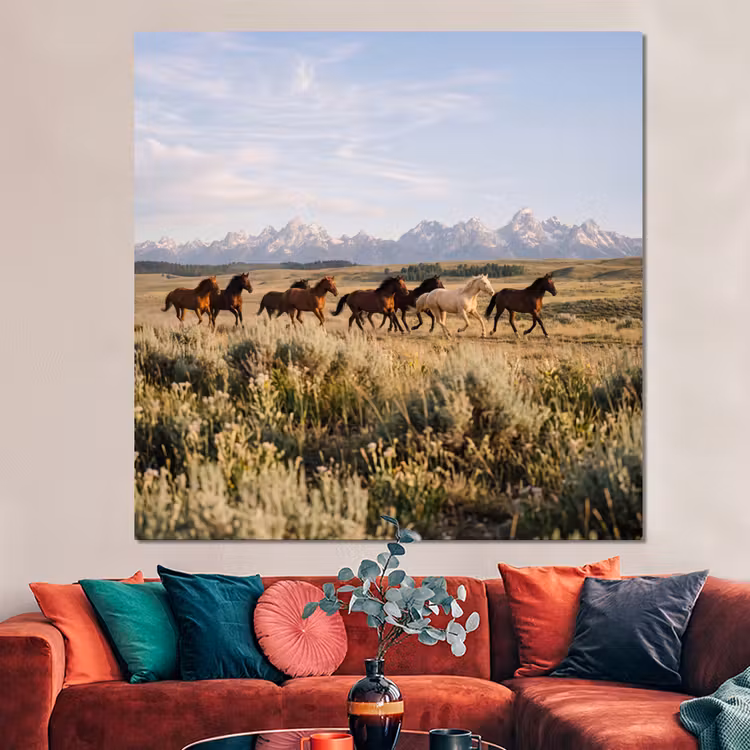 Forex - Paarden - Kudde - Bergen - Vrijheid - Wild — 3