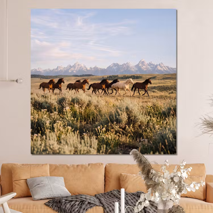 Forex - Paarden - Kudde - Bergen - Vrijheid - Wild — 4