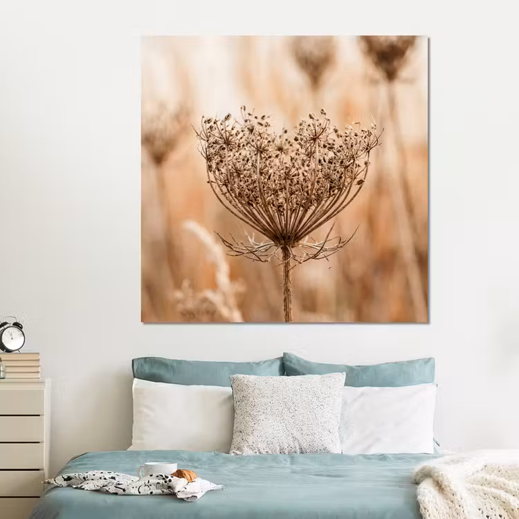 Forex - Schermbloem - Droogbloem - Winter - Beige - Minimalistisch — 2