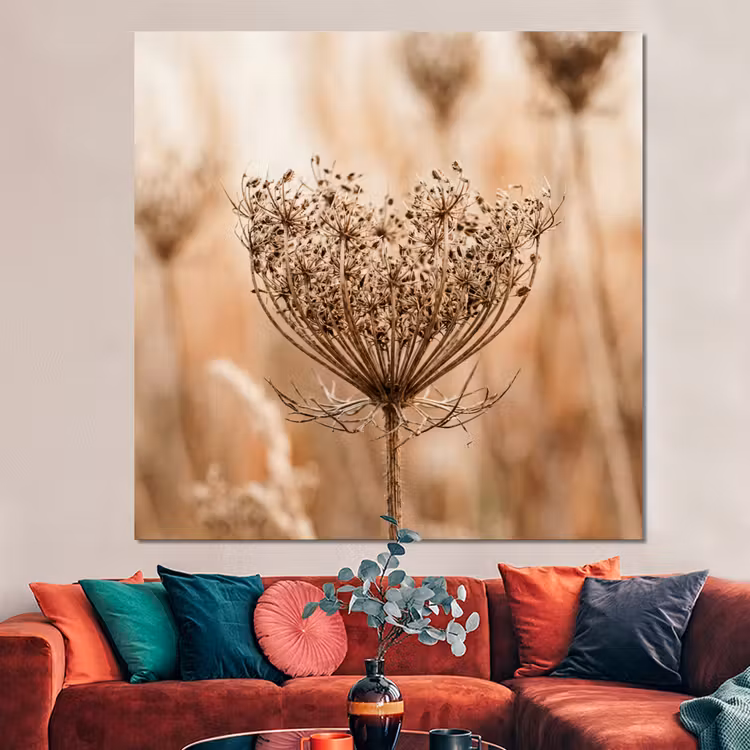 Forex - Schermbloem - Droogbloem - Winter - Beige - Minimalistisch — 3