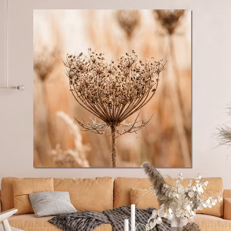 Forex - Schermbloem - Droogbloem - Winter - Beige - Minimalistisch — 4