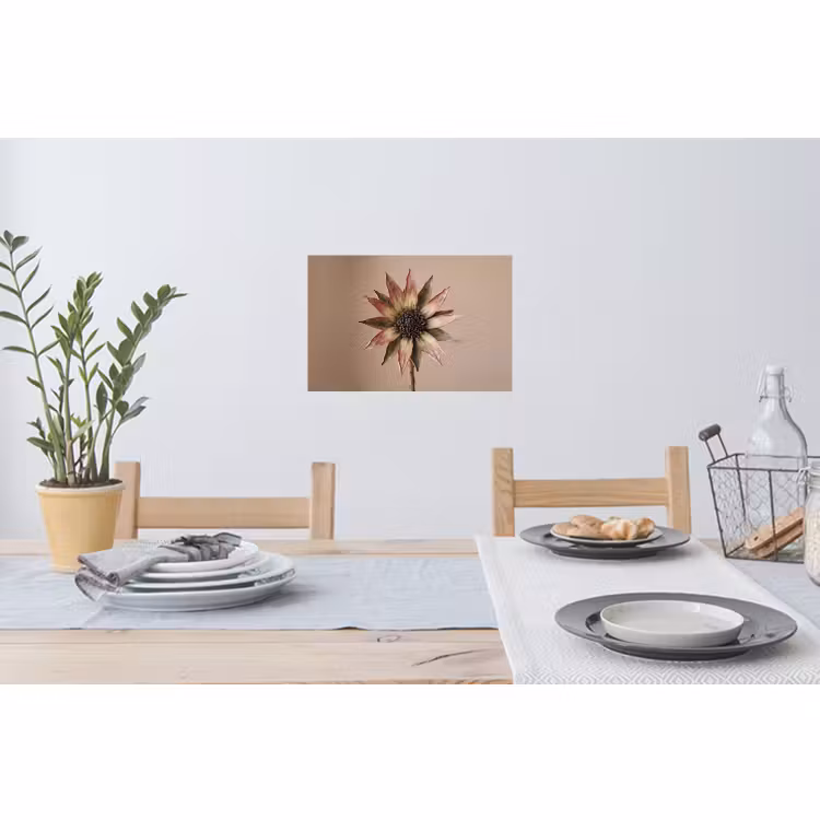 Muursticker - Droogbloem - Protea - Vintage - Beige - Rustiek — 3
