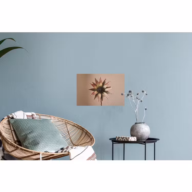 Muursticker - Droogbloem - Protea - Vintage - Beige - Rustiek — 4