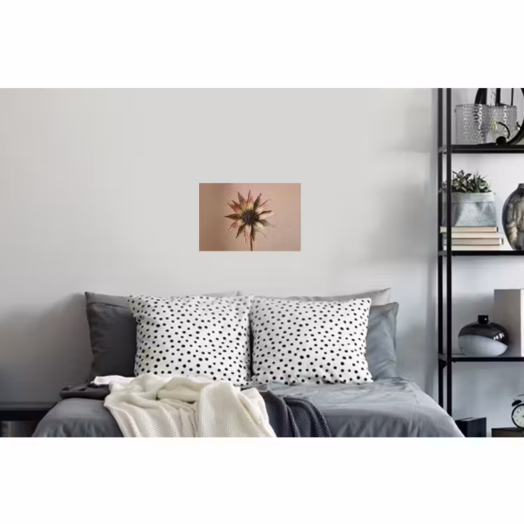 Muursticker - Droogbloem - Protea - Vintage - Beige - Rustiek — 5