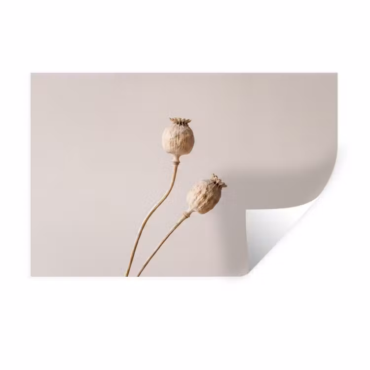 Muursticker - Papaverbollen - Droogbloemen - Minimalistisch - Beige - Rustig