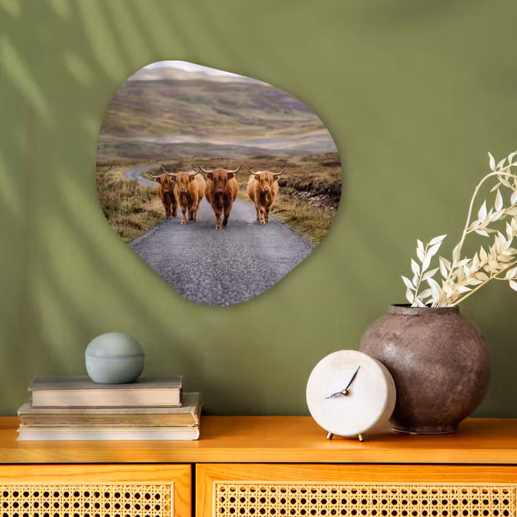 Organisch schilderij - Forex - Schotse Hooglanders - Weg - Landschap - Kudde — 2