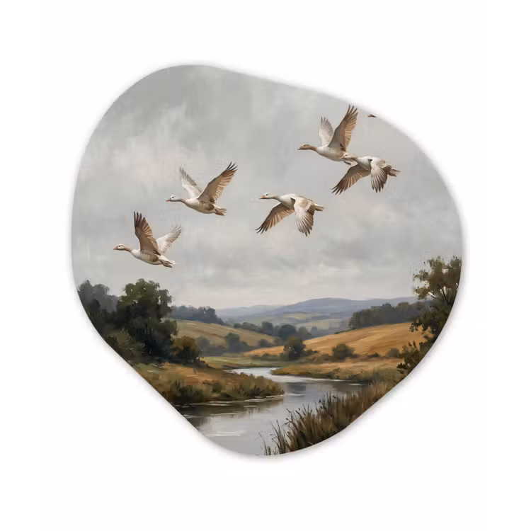 Organische schilderij - Aluminium - Eenden - Rivier - Landschap - Vlucht - Nostalgisch