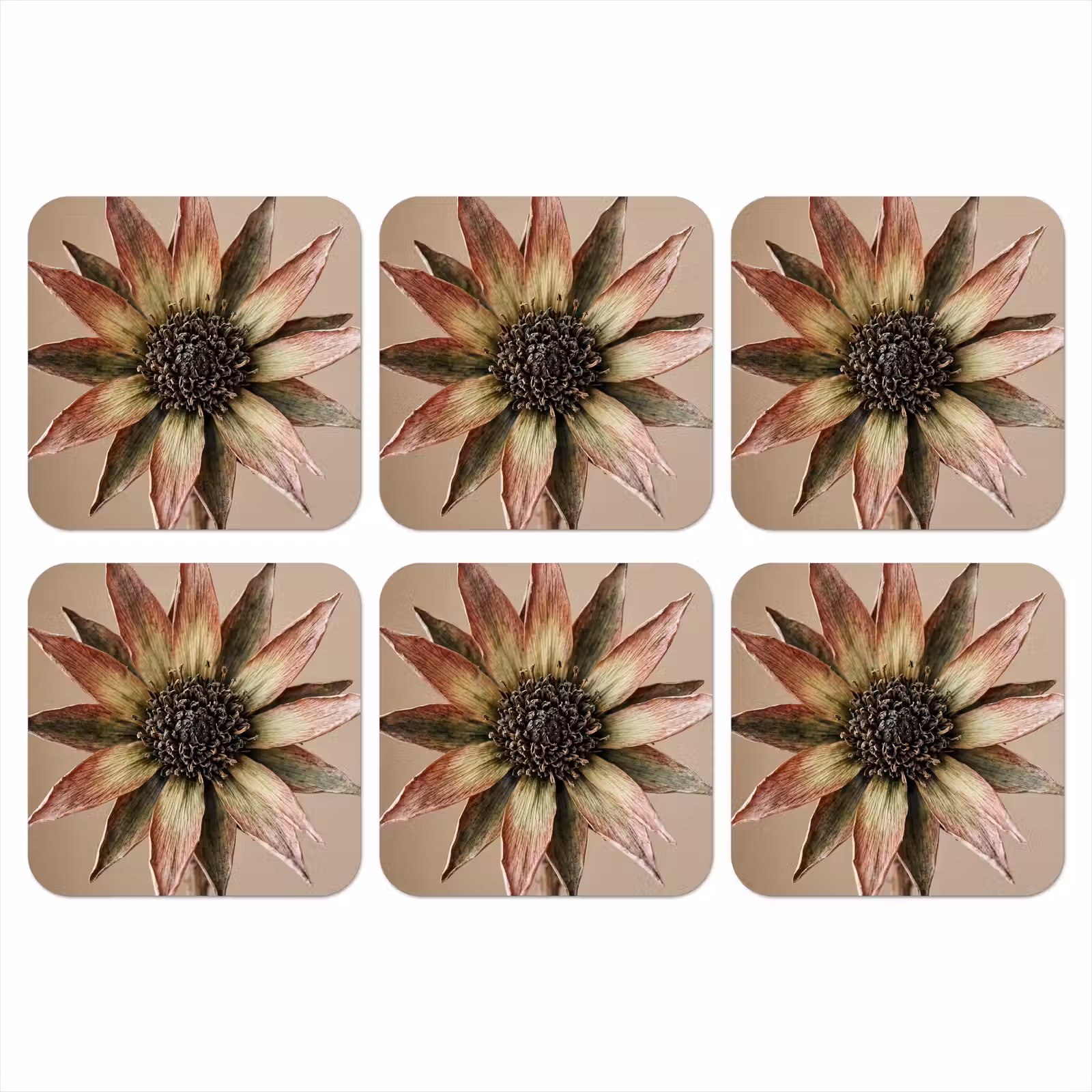 Onderzetter - Droogbloem - Protea - Vintage - Beige - Rustiek — 1