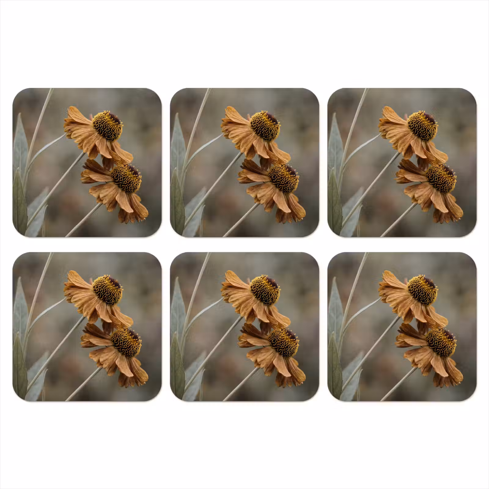 Onderzetter - Zonnehoed - Droogbloemen - Geel - Warm — 1