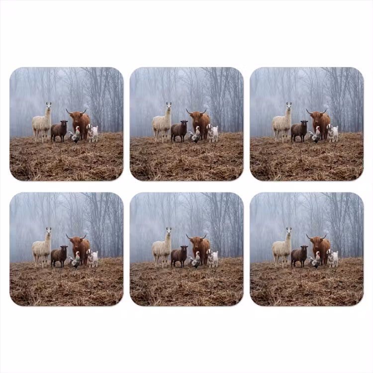 Onderzetter - Boerderijdieren - Groep - Mist - Natuur - Rustiek