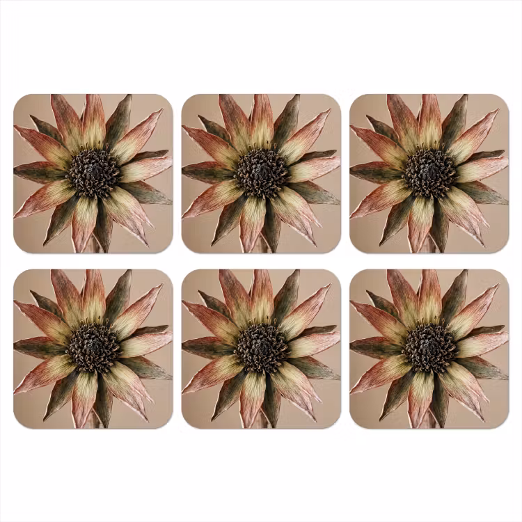 Onderzetter - Droogbloem - Protea - Vintage - Beige - Rustiek