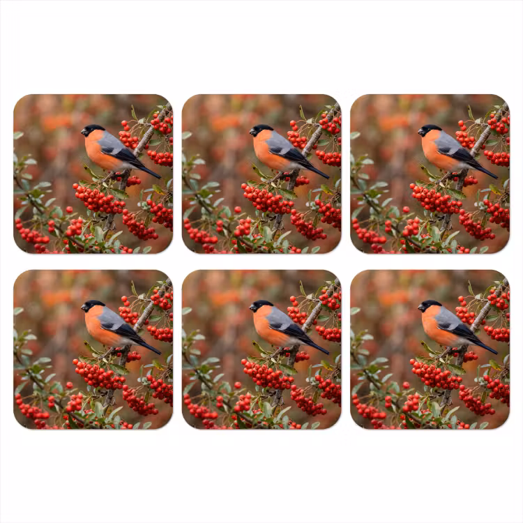 Onderzetter - Goudvink - Bessen - Herfst - Natuur - Kleurrijk