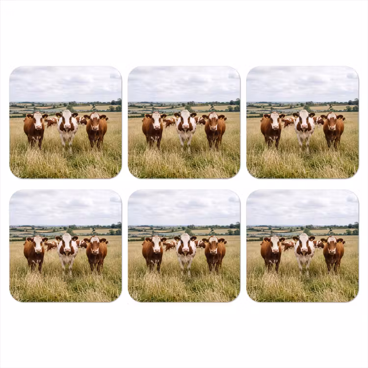 Onderzetter - Koeien - Portret - Weide - Boerderij - Nieuwsgierig