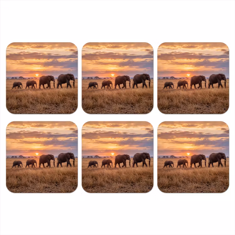 Onderzetter - Olifanten - Savanne - Zonsondergang - Afrika - Warm