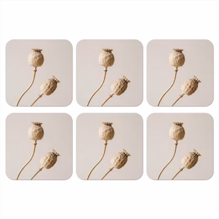 Onderzetter - Papaverbollen - Droogbloemen - Minimalistisch - Beige - Rustig