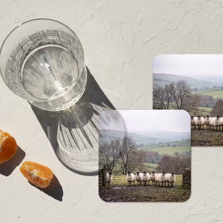 Onderzetter - Schapen - Rij - Weide - Dieren - Platteland — 2