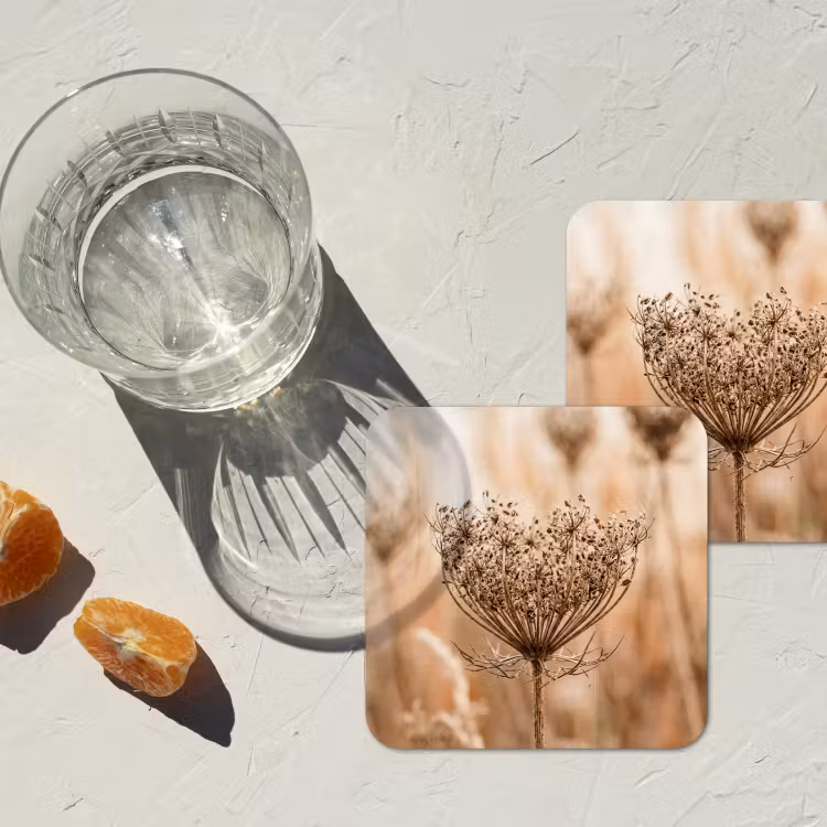 Onderzetter - Schermbloem - Droogbloem - Winter - Beige - Minimalistisch — 2