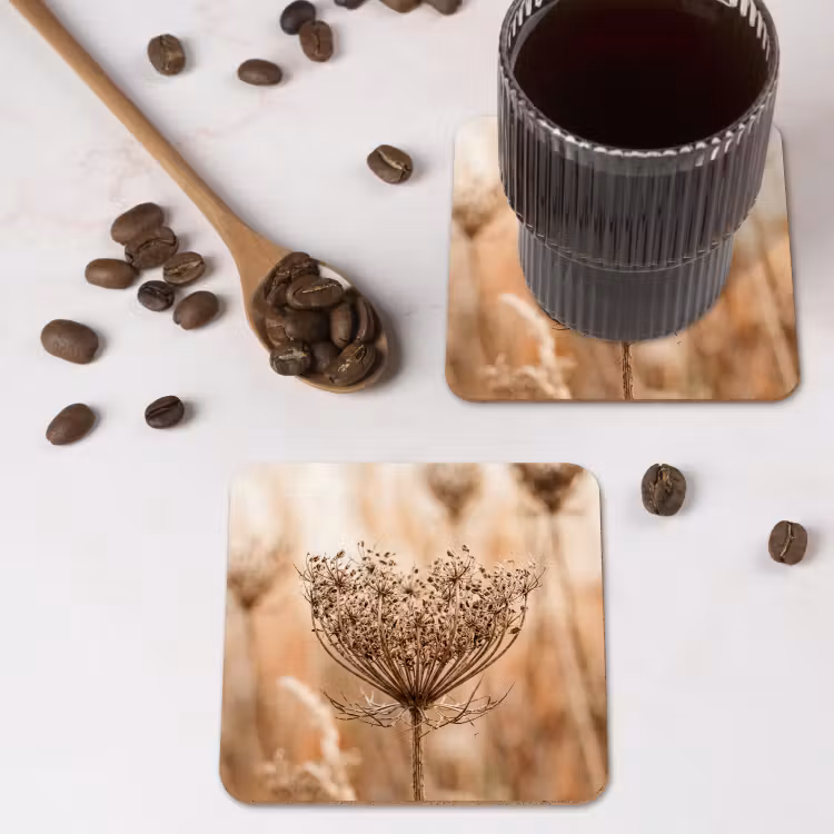 Onderzetter - Schermbloem - Droogbloem - Winter - Beige - Minimalistisch — 4
