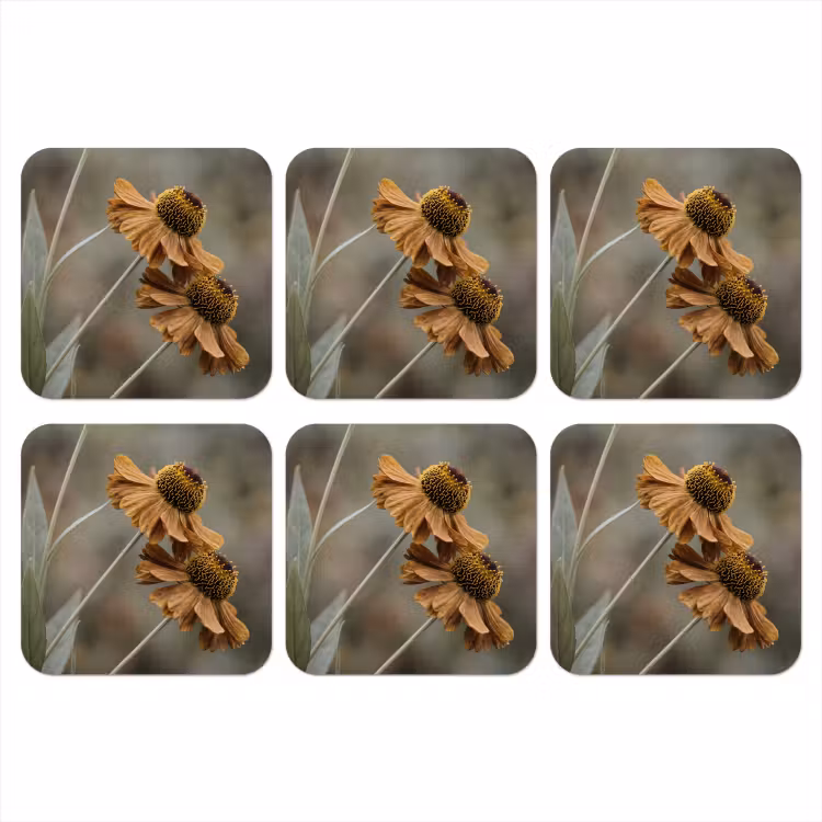 Onderzetter - Zonnehoed - Droogbloemen - Geel - Warm