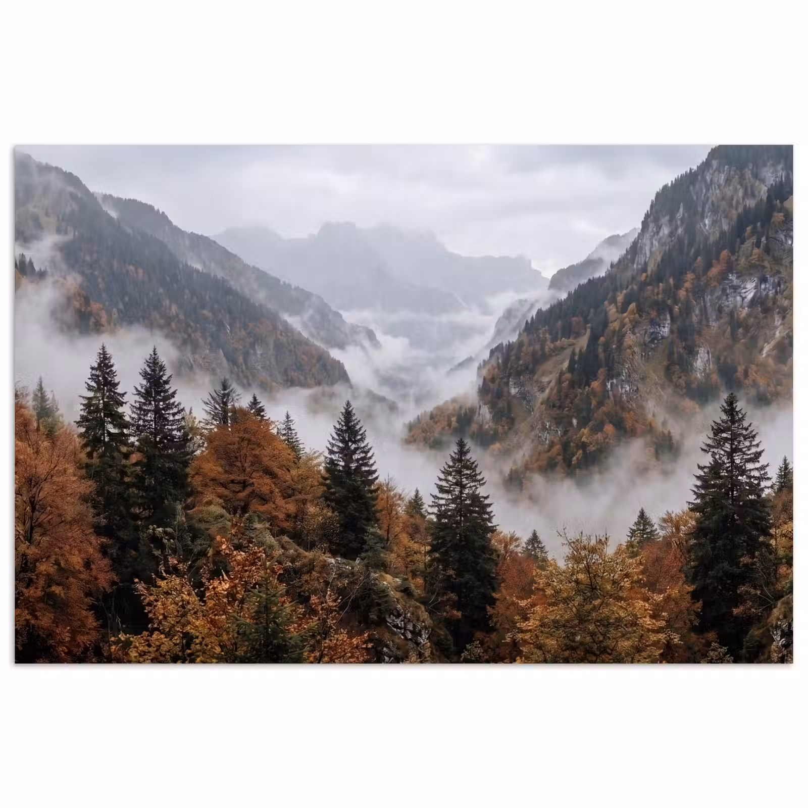 Poster - Bergen - Vallei - Mist - Herfst - Natuur — 1