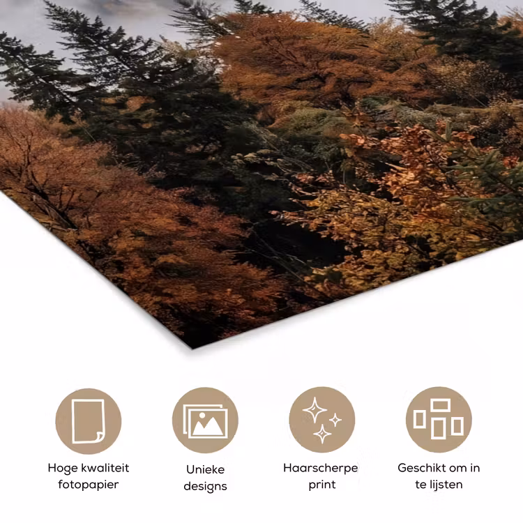 Poster - Bergen - Vallei - Mist - Herfst - Natuur — 5