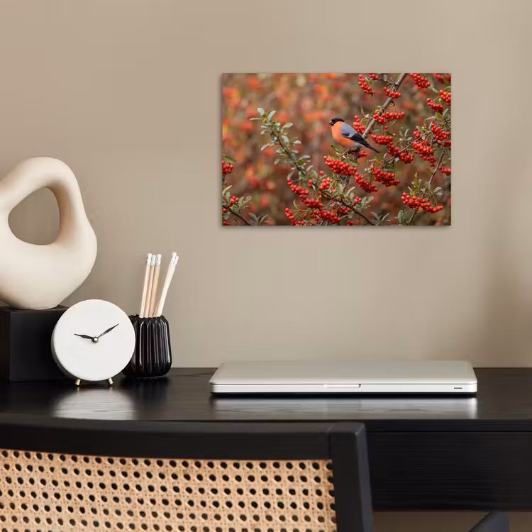 Poster - Goudvink - Bessen - Herfst - Natuur - Kleurrijk — 2