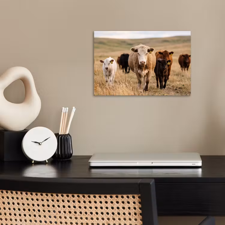 Poster - Runderen - Kudde - Landschap - Weide - Rustig — 2