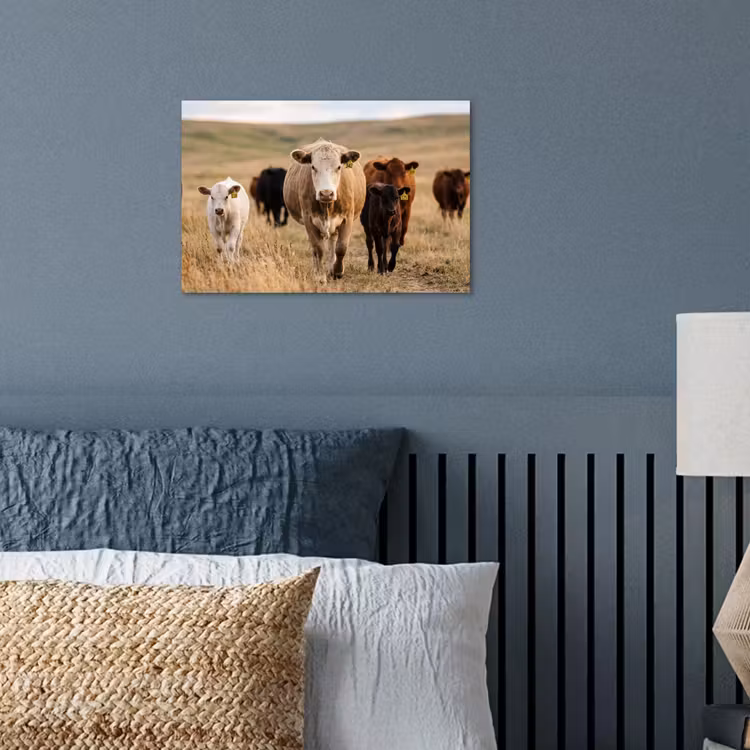 Poster - Runderen - Kudde - Landschap - Weide - Rustig — 3