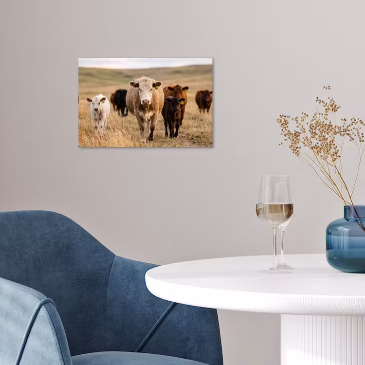 Poster - Runderen - Kudde - Landschap - Weide - Rustig — 4