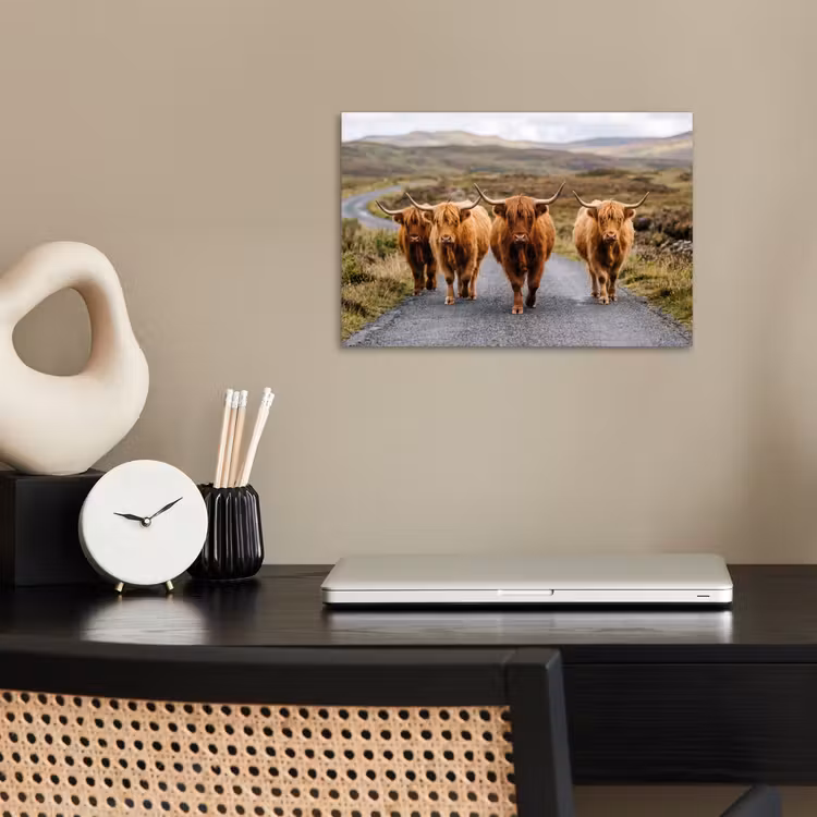 Poster - Schotse Hooglanders - Weg - Landschap - Kudde — 2