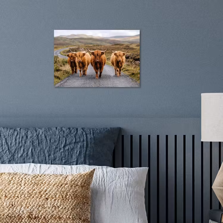 Poster - Schotse Hooglanders - Weg - Landschap - Kudde — 3