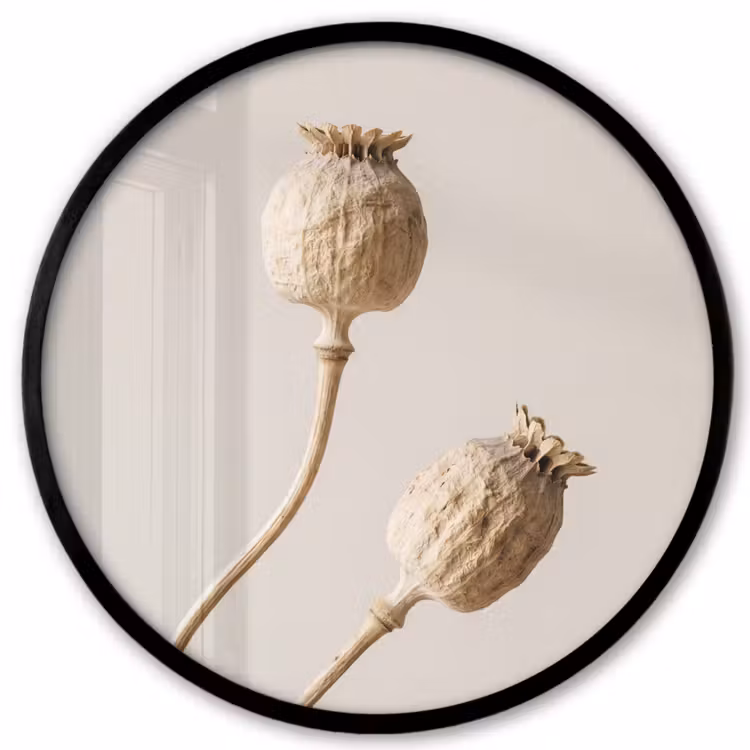 Ronde fotolijst - Papaverbollen - Droogbloemen - Minimalistisch - Beige - Rustig