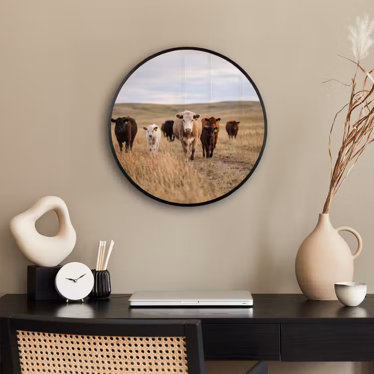 Ronde fotolijst - Runderen - Kudde - Landschap - Weide - Rustig — 3