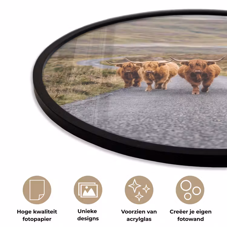 Ronde fotolijst - Schotse Hooglanders - Weg - Landschap - Kudde — 2
