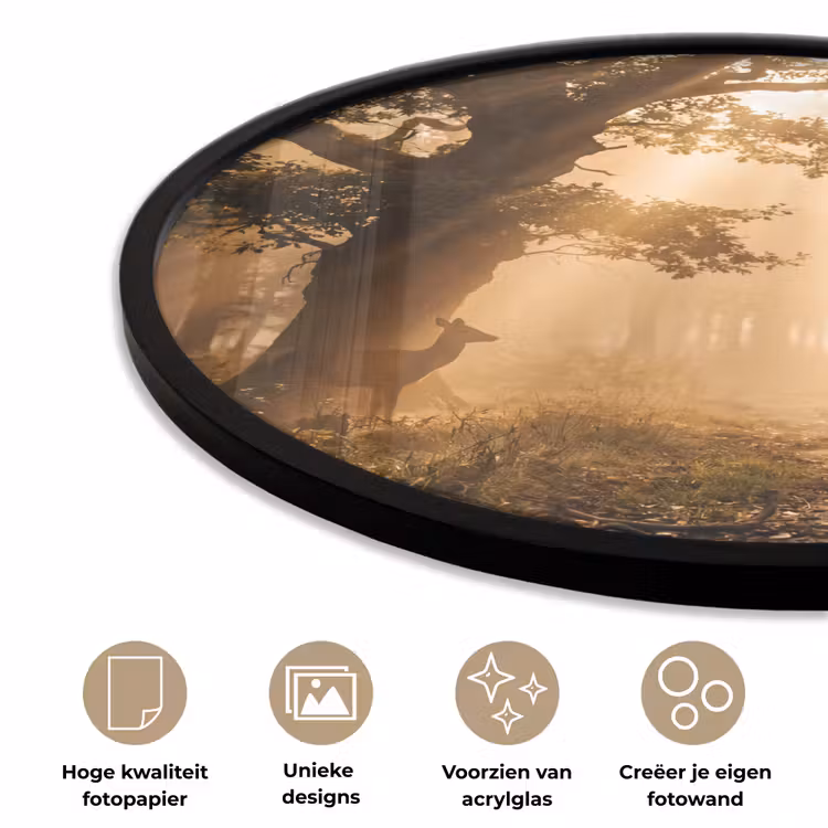 Ronde fotolijst - Hert - Bos - Mistig - Natuur - Goud — 2