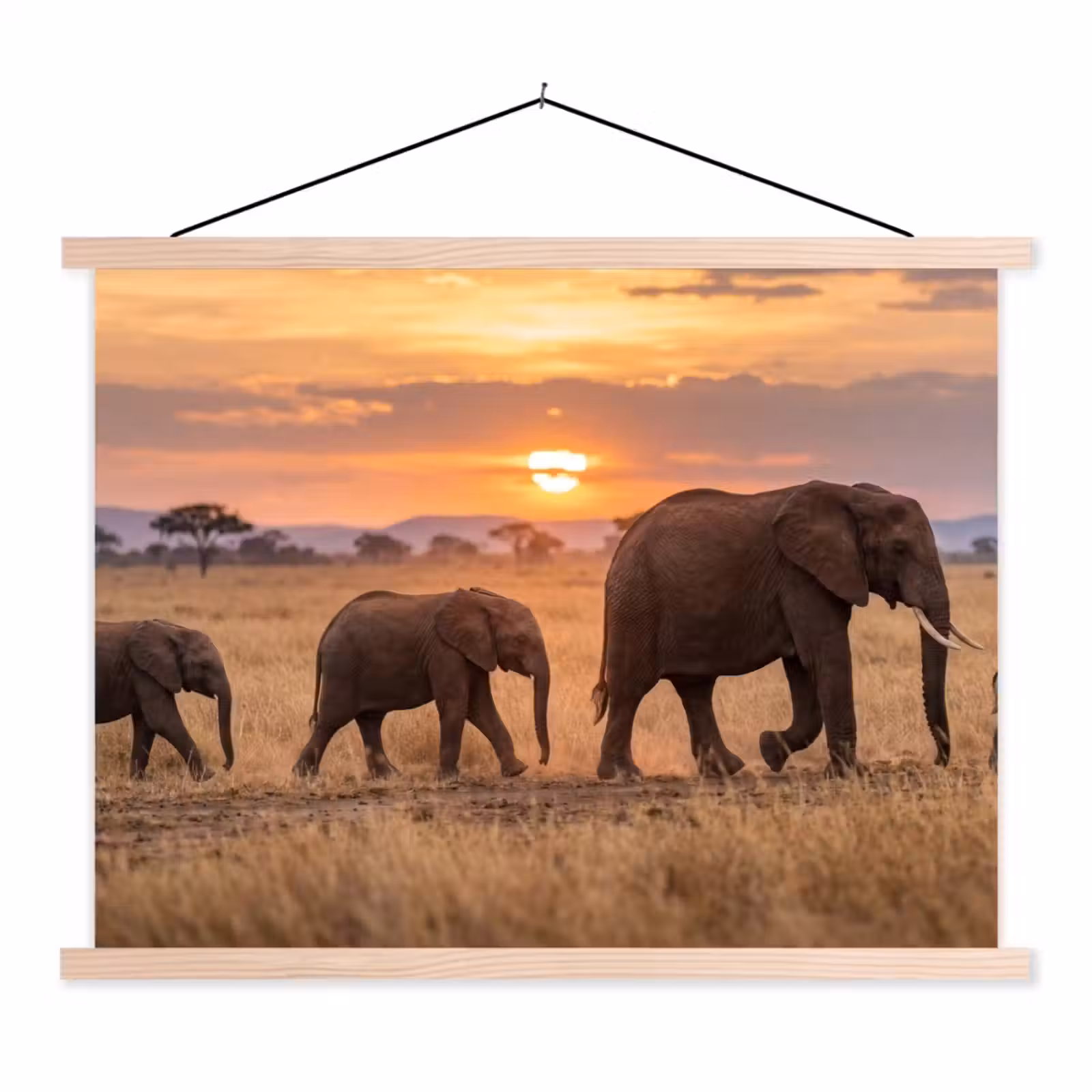 Schoolplaat - Olifanten - Savanne - Zonsondergang - Afrika - Warm — 1