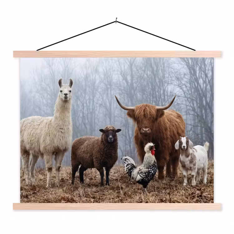Schoolplaat - Boerderijdieren - Groep - Mist - Natuur - Rustiek