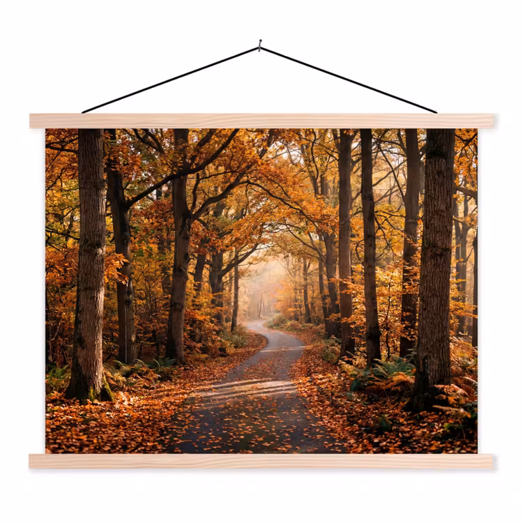 Schoolplaat - Bospad - Herfstbos - Bladeren - Oranje - Nostalgisch