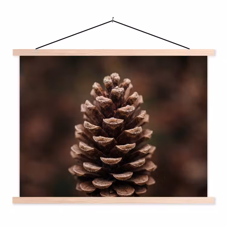 Schoolplaat - Dennenappel - Bos - Herfst - Bruin - Sfeervol